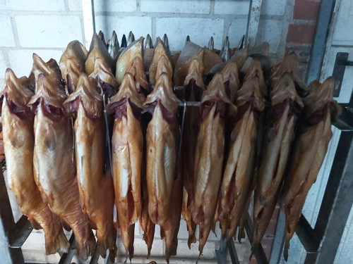 1kg forelle heilbutt - 1kg,