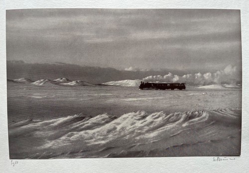 Sylt inselexpress signiert - sylt, +