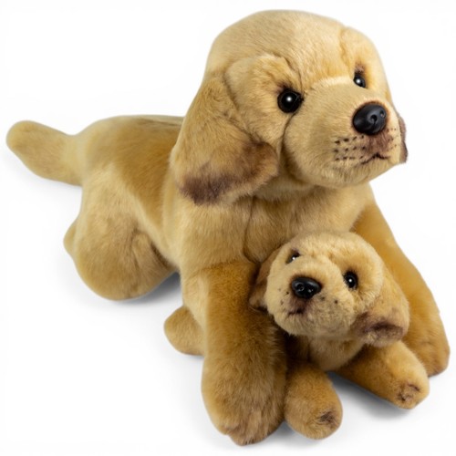 Carl dick labrador liegend - labrador, mit