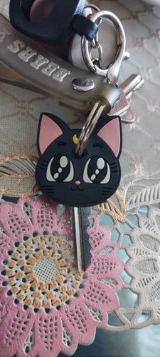 Anime sailor moon copri - moon, chiave