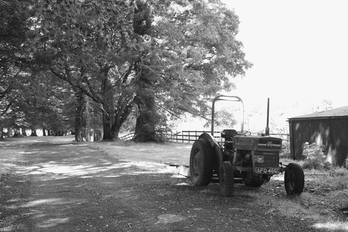 Foto 6x4 traktor argoed - foto,