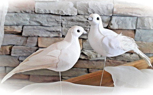 Vogel taube stecker - ❀,