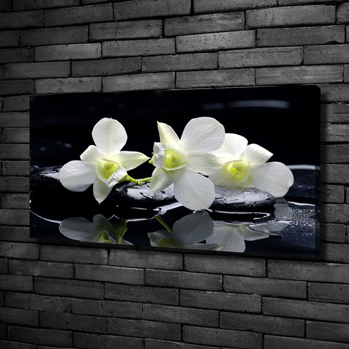 Leinwandbild kunst druck - leinwandbild, kunst-druck