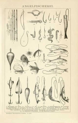 Angeln angelfischen köder - angeln,