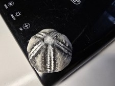  Seeigel Galerites Steinkern