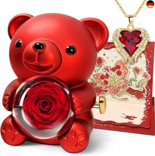 DINGHENG Rosen Bär Mit Herz