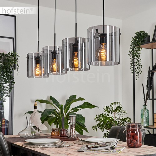 Rauchglas wohn ess raum - rauchglas,