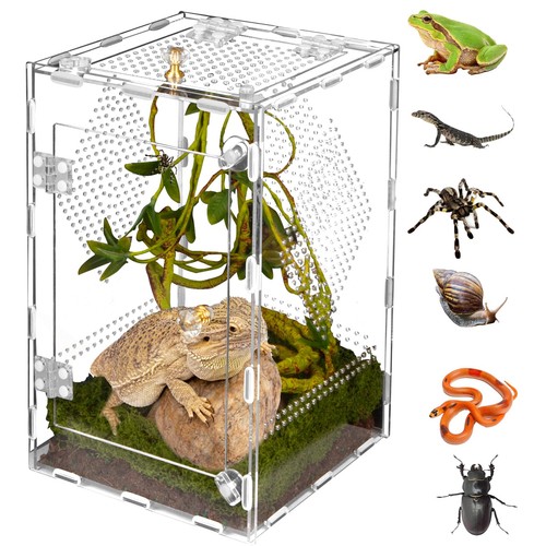Acrylic reptile terrarium easy - acrylic,