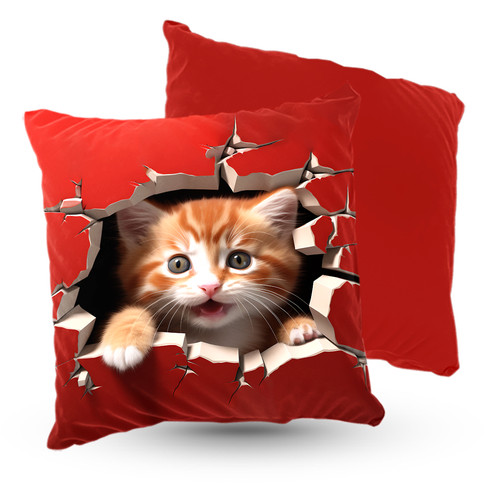 Premium kissen velours - kissen,