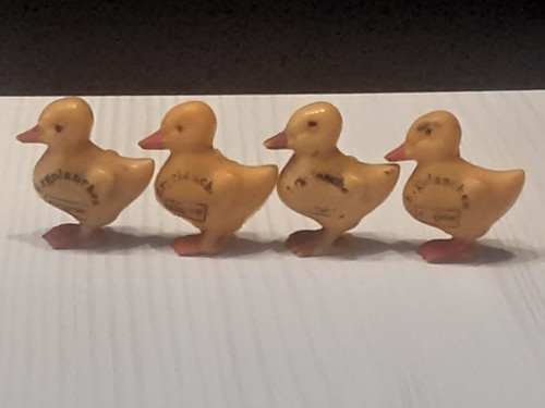 Ergee kleine enten - ergee,