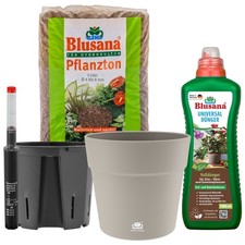 Hydrokultur Komplett-Set