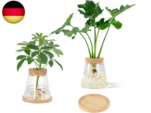 Hydrokultur topf stück - hydrokultur, 2