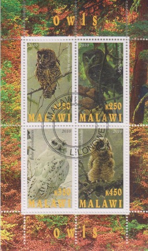 Vögel eulen malawi - eulen, gestempelt