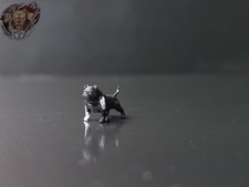 1/87 American Pit Bull Terrier