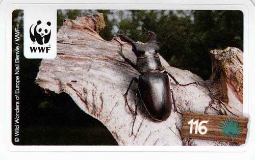 Rewe wwf tier - rewe,