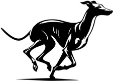  GALGO GREYHOUND Windhund Aufkleber Autoaufkleber Silhouette #17
