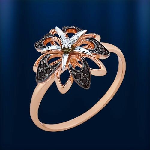 Russische rose rotgold - russische,