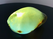 Echter Ozean Blau￼ Bernstein Amber￼ Bermudas Karibik￼￼ Hellgrün Gelb￼