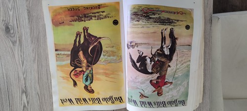 Bildband 100 posters buffalo - 100,