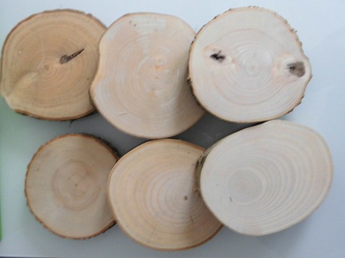 Esche holzscheiben - x,