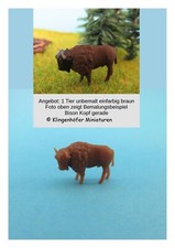 Bison / Büffel Kopf seitlich