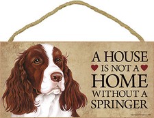 Springer Spaniel Haus Ist Kein