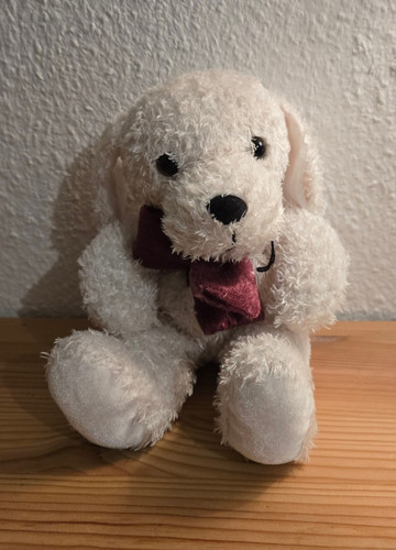 Stofftier teddy hund 18 - 18, cm