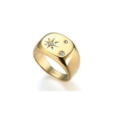 Siegelring Polarstern