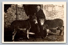 POSTKARTE - ISLE OF WIGHT -