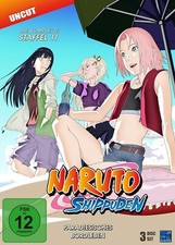 Naruto Shippuden - Staffel 11: Paradiesisches Bordleben (Episoden 443-462, NEU