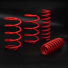 DIRENZA TIEFERLEGUNGSFEDERN