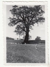 Foto HJ beim Sonnenbad am Damm der Oder