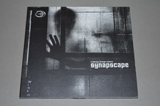 Synapscape – A Journey