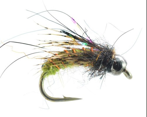 Nymphe super puppa - nymphe, olive