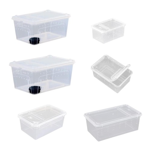 Reptil fütterung box zucht - fütterung,