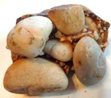 ?Konglomerat Gestein - Findlinge Tertiär Sternberg (P763) Schau Mal druch !