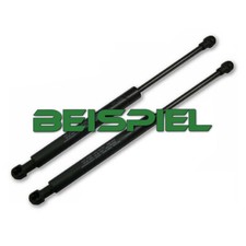 x2 Stk Heckscheibe Gasfeder