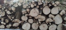 Brennholz Holz Ofenholz