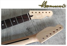 TL Canadian Maple mit Pau