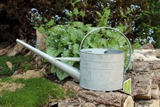 Zimmerpflanzen Gießkanne Zink