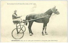 Hippismus N°35970 Intendant