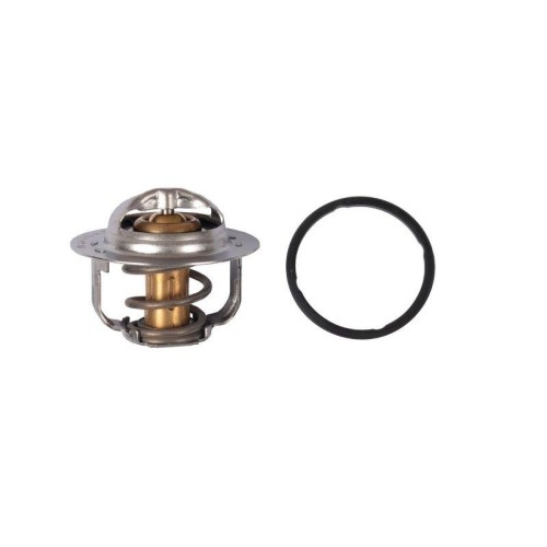 Thermostat kühlmittel gates - thermostat,