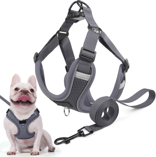 Hundegeschirr für kleine - hundegeschirr,