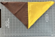 Junge Pfadfinder Of Amerika