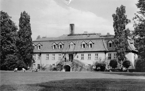 Rottleberode kr - rottleberode, (kr