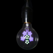 Dekorative Lampe Glimmlampe