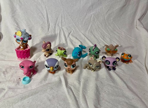 Littlest pet shop sammlung - pet,