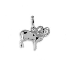 Sternzeichen Anhänger & Kette