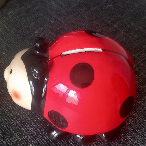 Marienkäfer spardose rot - marienkäfer,