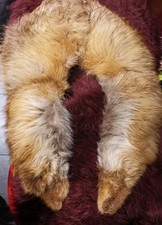 Fuchs, Rotfuchs Pelz Kapuze